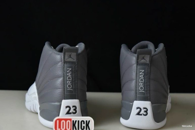 Reps TB JORDAN AIR CT8025-610 STEALTH 12 0704